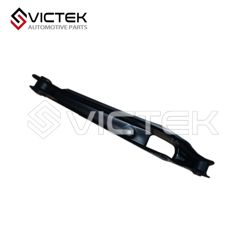 Rear Control Arm, Down A21-2919210