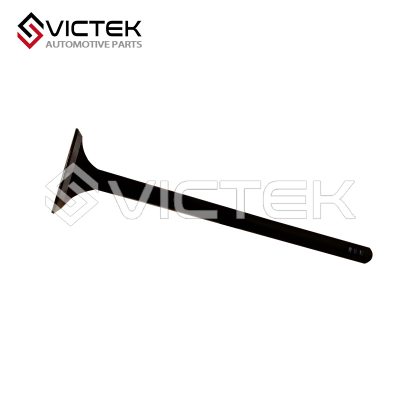 Válvula de escape 481H-1007012BA